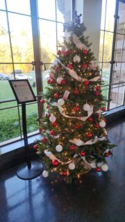 Holiday magic! Head to @catalystfineart, located inside @lodgeatstedward in Kenmore. Find our holiday tree and make a digital donation through an ornament!

Tree is up until Jan. 4, 2026

#nsd #northshoreschoolsfoundation #catalystfineart #kenmorewa