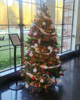 Let's make holiday magic! Our Giving Tree is up until Jan. 4, 2026. Make a digital donation through an ornament and be All In for Kids!

The Giving Tree is located at @catalystfineart inside @lodgeatstedward in Kenmore. The gallery features rotating exhibitions of Pacific Northwest artists at all career stages and partners with local arts organizations to promote regional talent through accessible, diverse artwork.

Heads up: A Discover pass is required for parking. Don't have one? You can buy a day pass in the parking lot.

Questions? Email: kimm@nsdfoundation.org

#northshoreschoolsfoundation #catalystfineart #kenmorewa