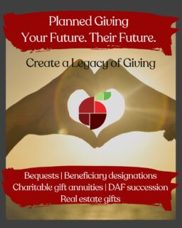Your legacy can light the way for Northshore kids.

A planned gift to the Northshore Schools Foundation is a lasting investment in learning, opportunity, and community.

Be All In for Kids. For life!

Ready to learn more? Email info@nsdfoundation.org or call our office: 425-408-7680

#NorthshoreSchoolsFoundation #PlannedGiving #LegacyGiving